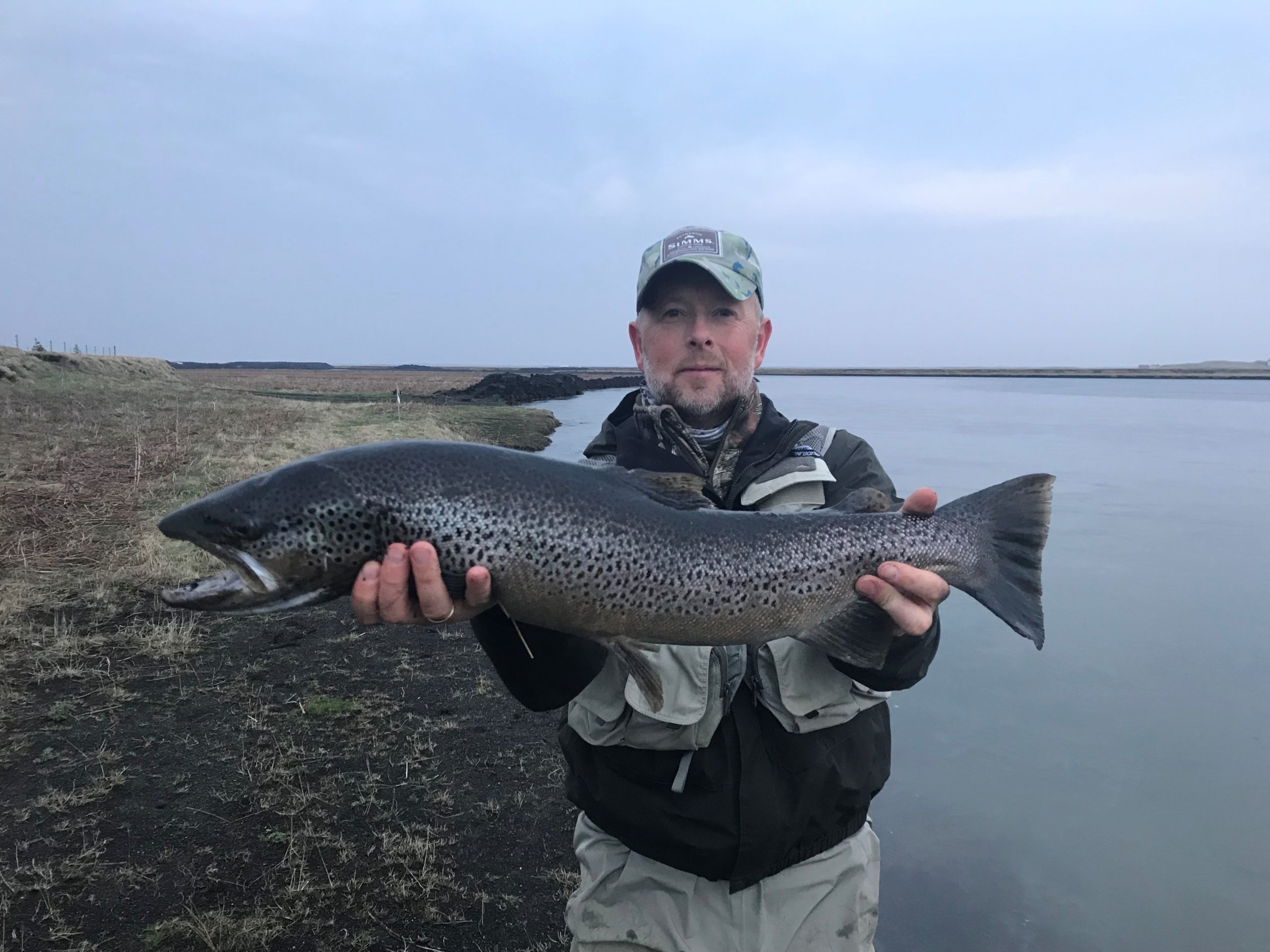 Read more about the article Holsa Sea Trout