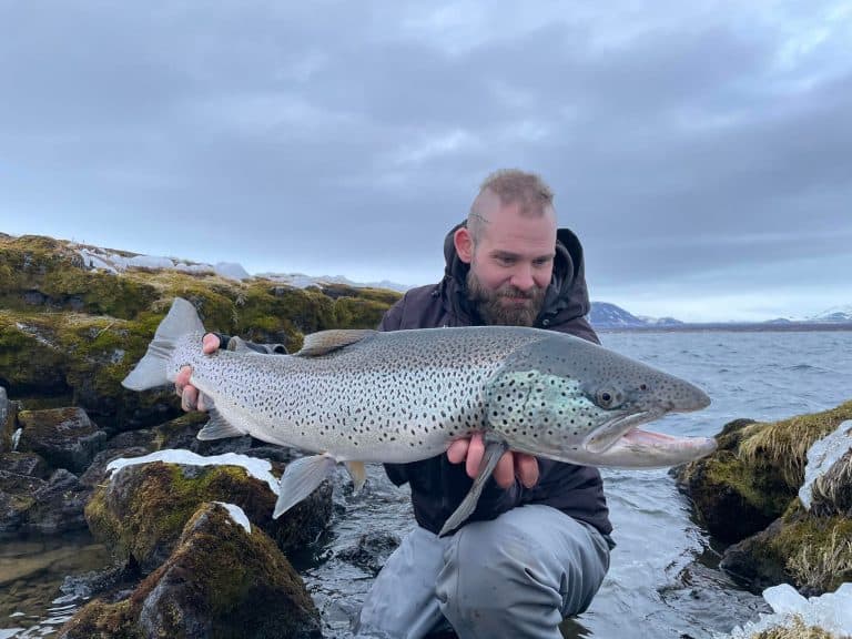 Lake þingvellir 93 cm trout