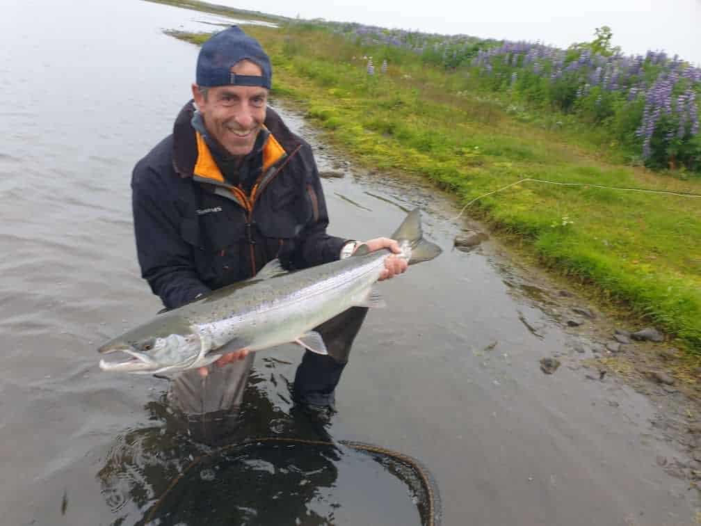 You are currently viewing Salmon fishing in Iceland 2022